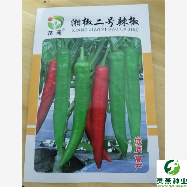 老品种土辣椒种子正宗湖南土辣椒种子特辣薄皮青辣椒尖椒圆椒种子