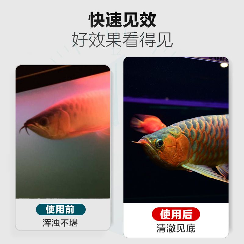 创宁鱼缸净水剂水立清水质清澈剂澄清剂杀菌清洁水浑浊净化剂特清