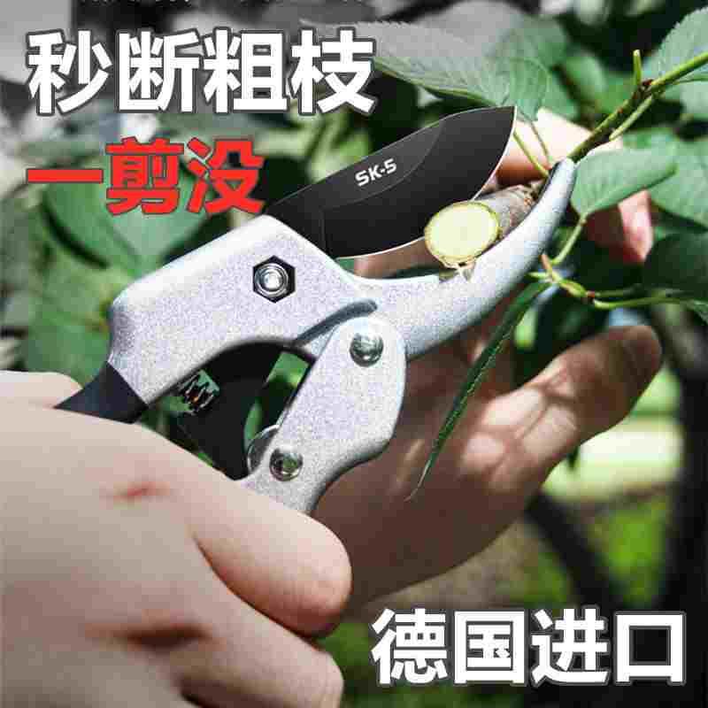 德国进口剪枝剪刀果树园艺剪刀修枝剪树枝花剪园林专用花卉果枝剪