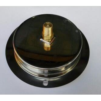 轴向带前边耐震压力表 牙在背面中心 100mm 牙螺纹PT1/4 600bar