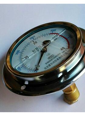 轴向带边内充进口硅油防冻耐震压力表tyn-100zt 0-40mpa 5800psi
