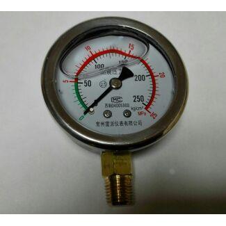 竖立式耐震压力表 油压力表  63mm 0-25mpa 250kg YN-60I ZG1/4