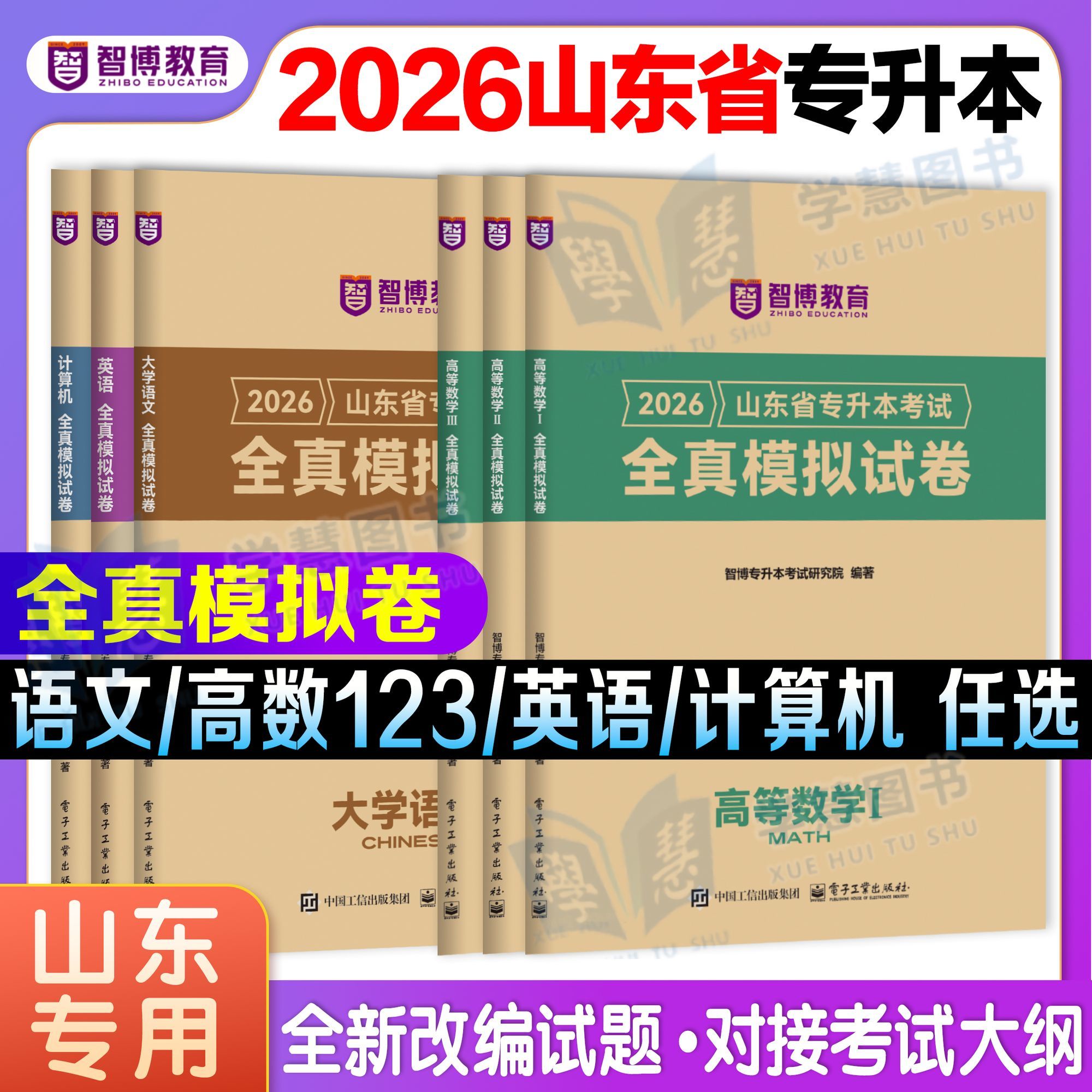 山东省专升本考试模拟卷