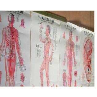 人体经络图 穴位挂图 针灸 刮