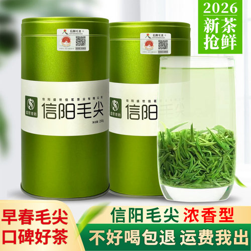 2026新茶信阳毛尖一级嫩芽浓香型