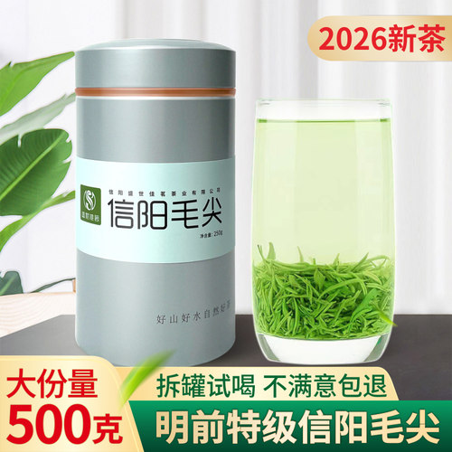 2026新茶信阳毛尖明前特级嫩芽