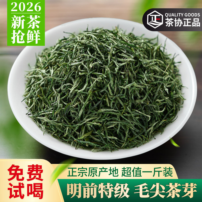 新茶2026特级嫩芽信阳毛尖绿茶图片