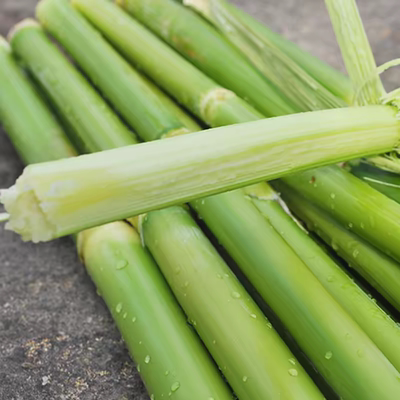 北方甘蔗甜杆种子多买多赠