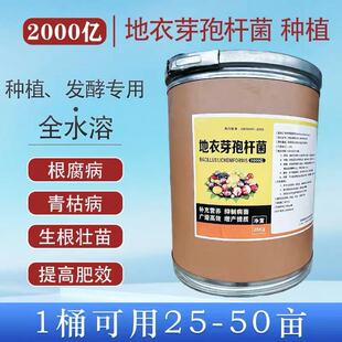 2000亿地衣芽孢菌杆菌哈茨木霉菌微生物菌肥农业种植根腐病发酵