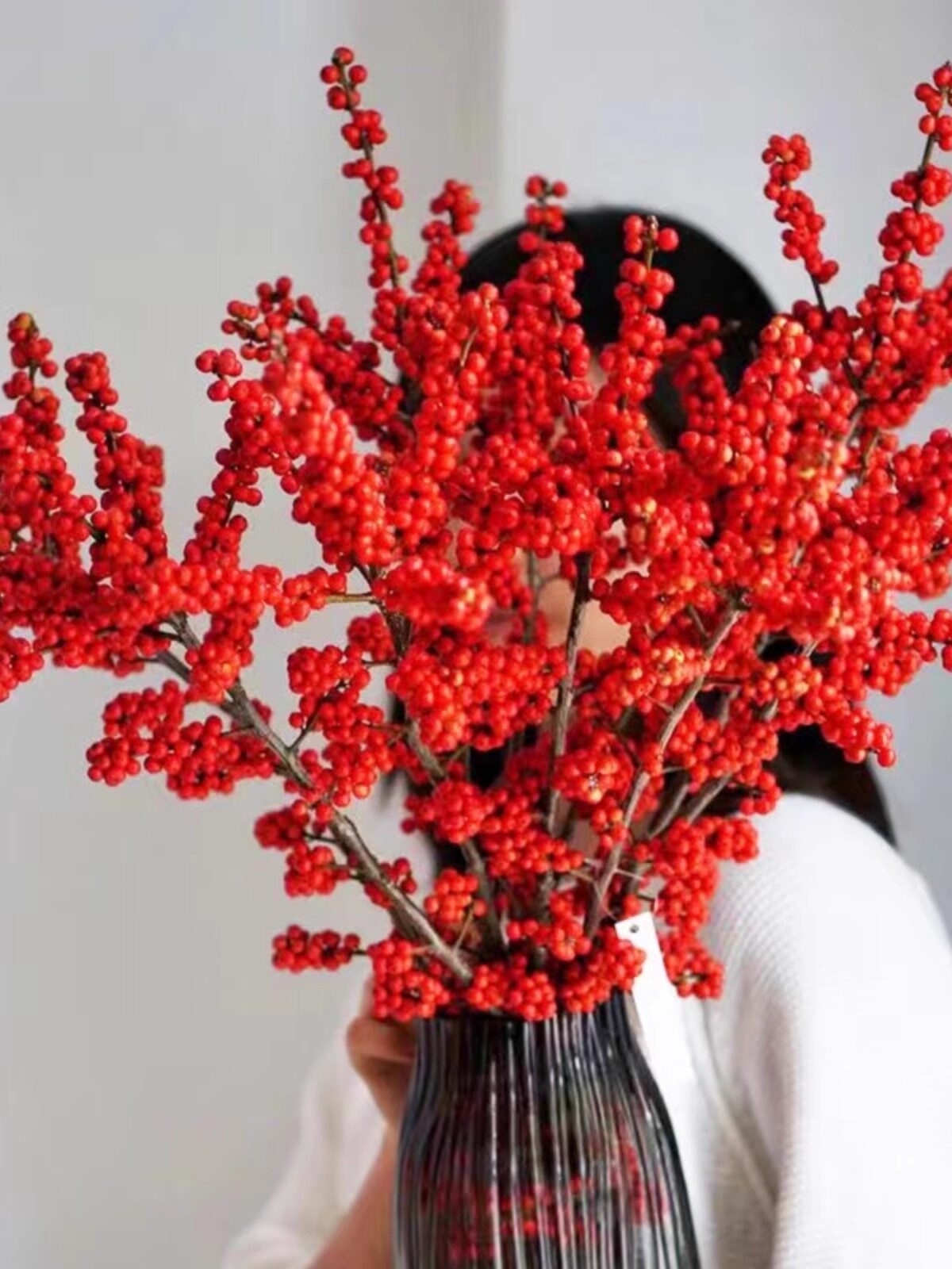 精品进口北美冬青鲜切枝水培植物鲜花束红果水养室内年宵花卉真花