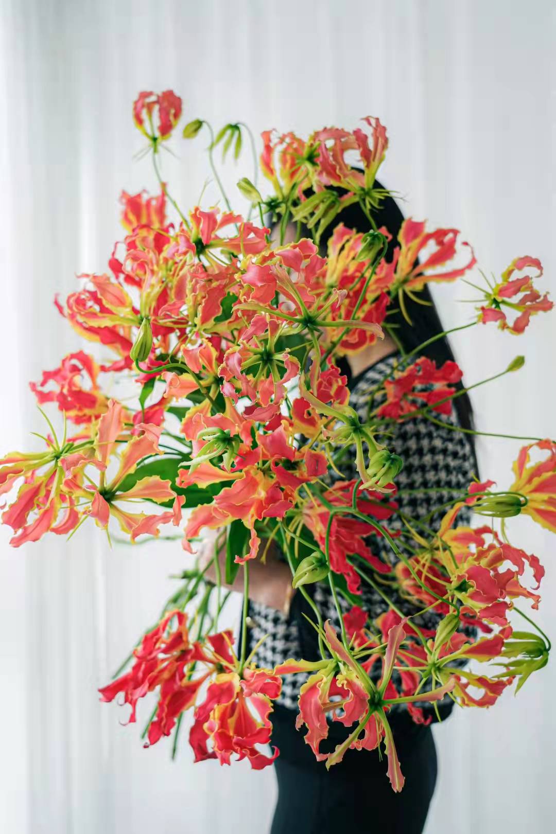 进口日本嘉兰百合橘色红色高档花材鲜花速递上海同城家用商务送人