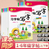 一年级二年级三字帖小学生四五六七专用练字帖上册下册人教版 语文课本同步临摹初学者儿童练字神器21天楷书练习写字帖生字每日一练