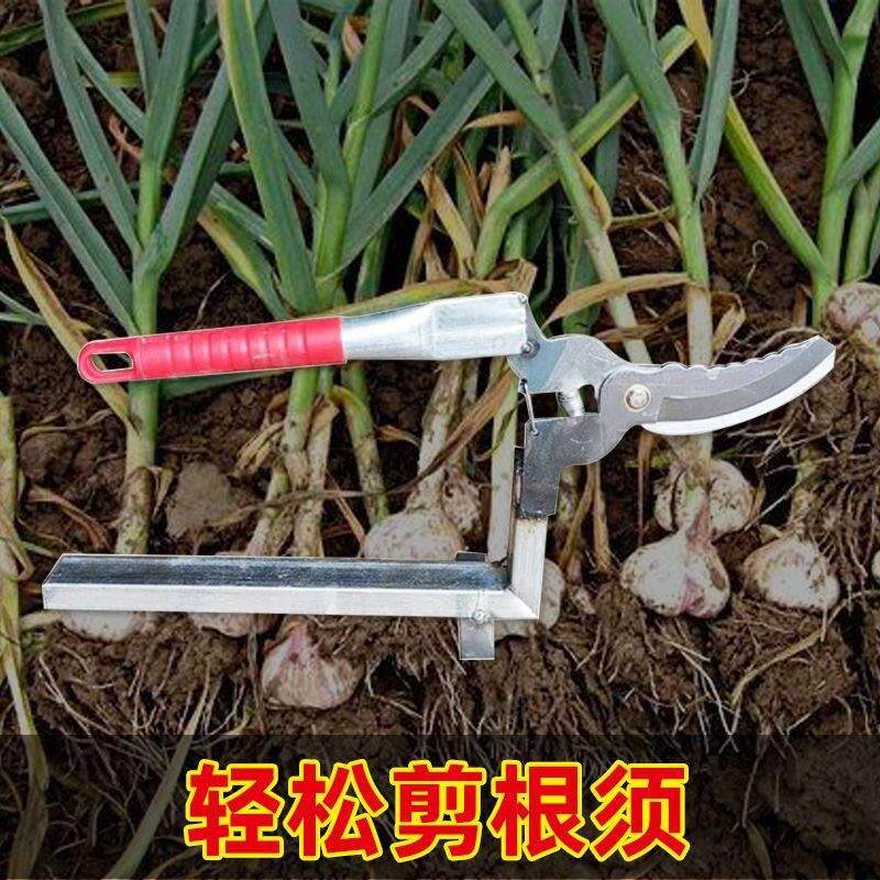大蒜剪蔬果剪刀神器剪蒜头高硬度园林摘菜高硬度蒜须根茎农具剪刀
