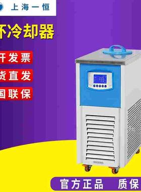 上海一恒BWR-03A/05A/10A/20A/30A循环冷却器循环实验室冷却泵