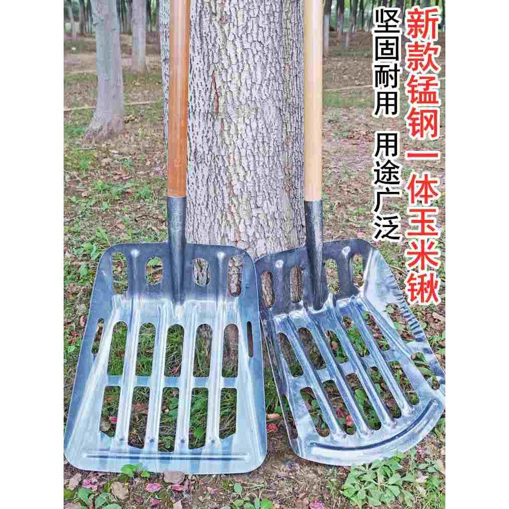 新款玉米锹筛土锰钢加厚农用平头镂空圆头铲玉米核桃饲料大枣铁锨