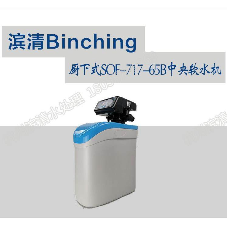 滨清 软水机家用/全屋净水软水系统/自来水去除水垢/0.5吨／厨下