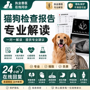 宠物医生在线问诊猫狗疾病咨询执业兽医24小时解答血检报告解心超