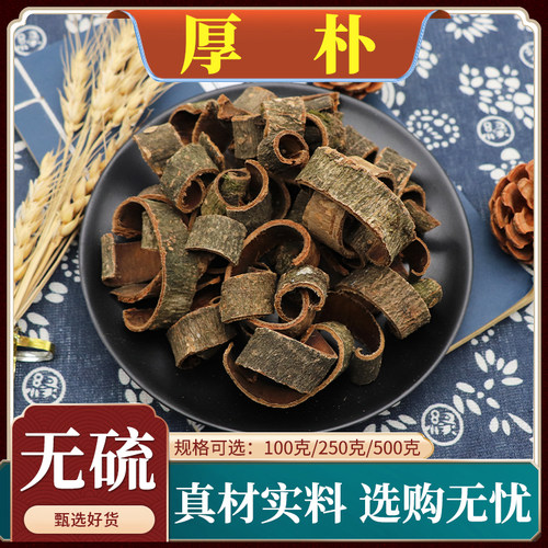 川厚朴川朴厚皮赤朴老树厚朴