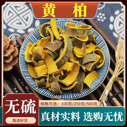 天然川黄柏无硫正品中药材