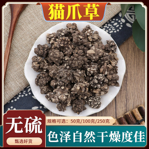 猫爪草三散草小毛茛猫草猫瓜草