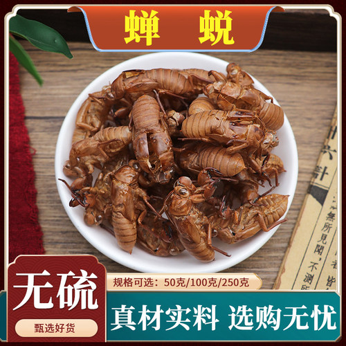 蝉蜕知了皮蝉衣蝉壳虫蜕虫金蝉衣