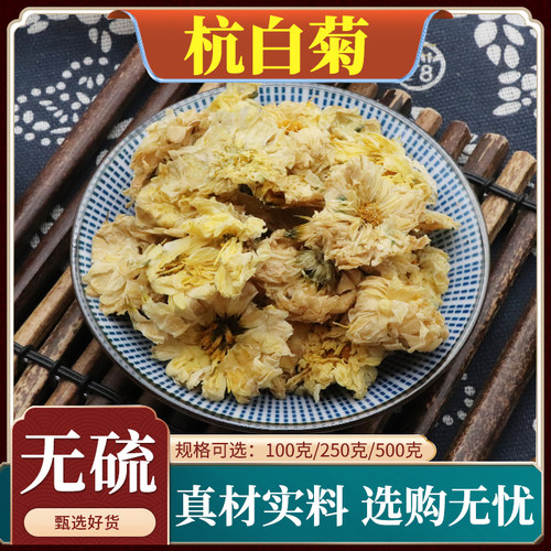 杭白菊杭菊花菊花茶朵花白菊花