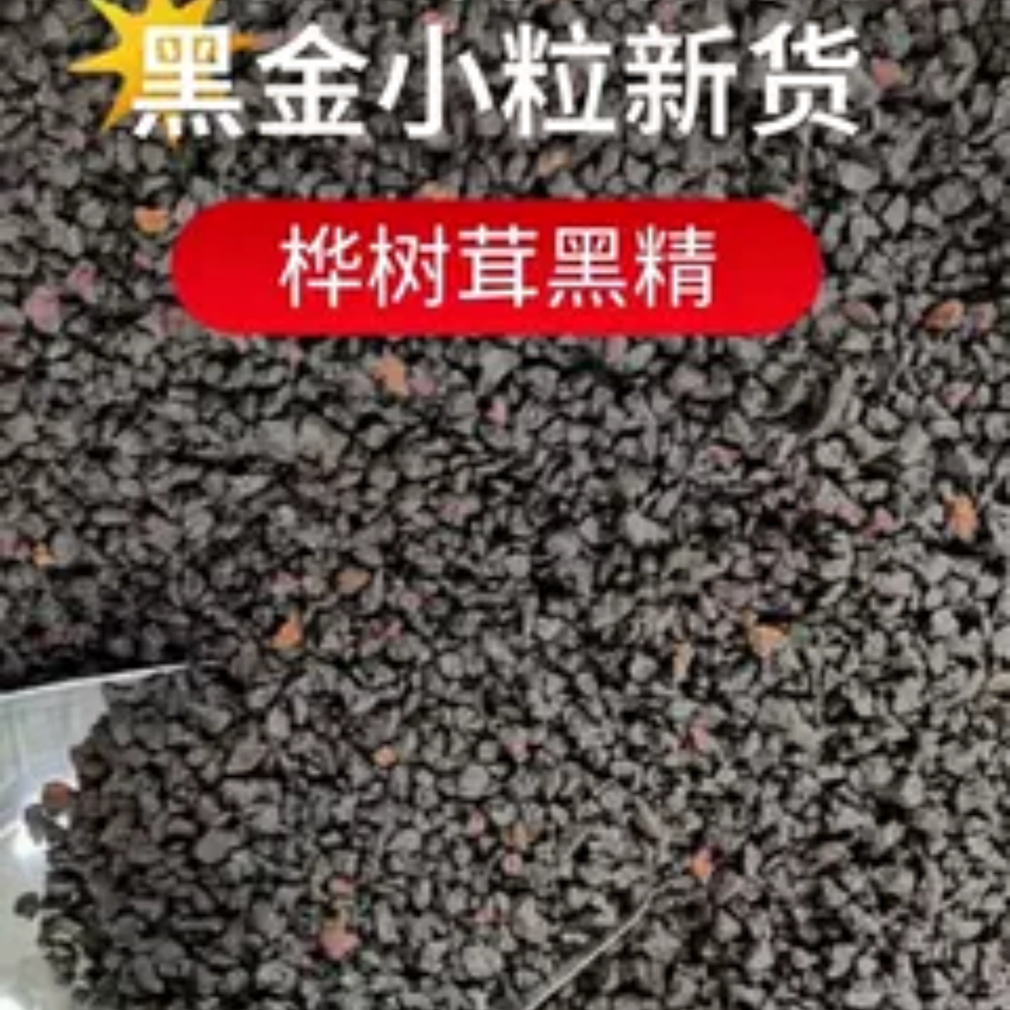 野生桦树茸黑金小粒不染色无添加黑精大颗粒滋补营养品天然胰岛素