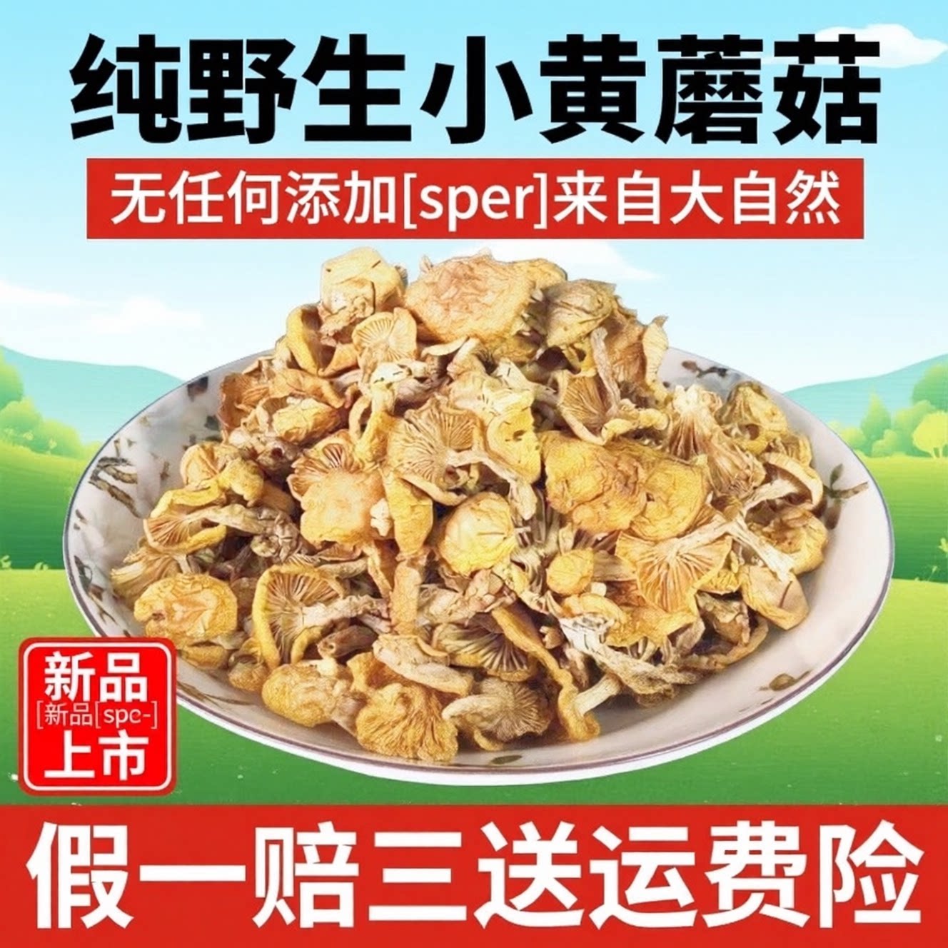 包邮东北野生小黄蘑菇黄松蘑菌菇类煲汤蛋黄地黄黄油蘑黄菇香菇新
