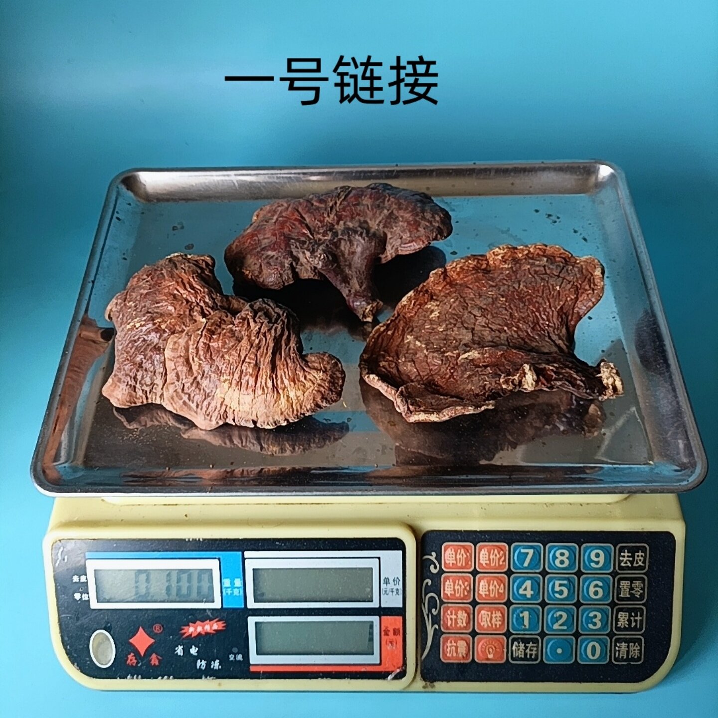 东北野生松杉赤灵芝干货泡水茶饮泡酒滋补养生五脏调理提升免疫力