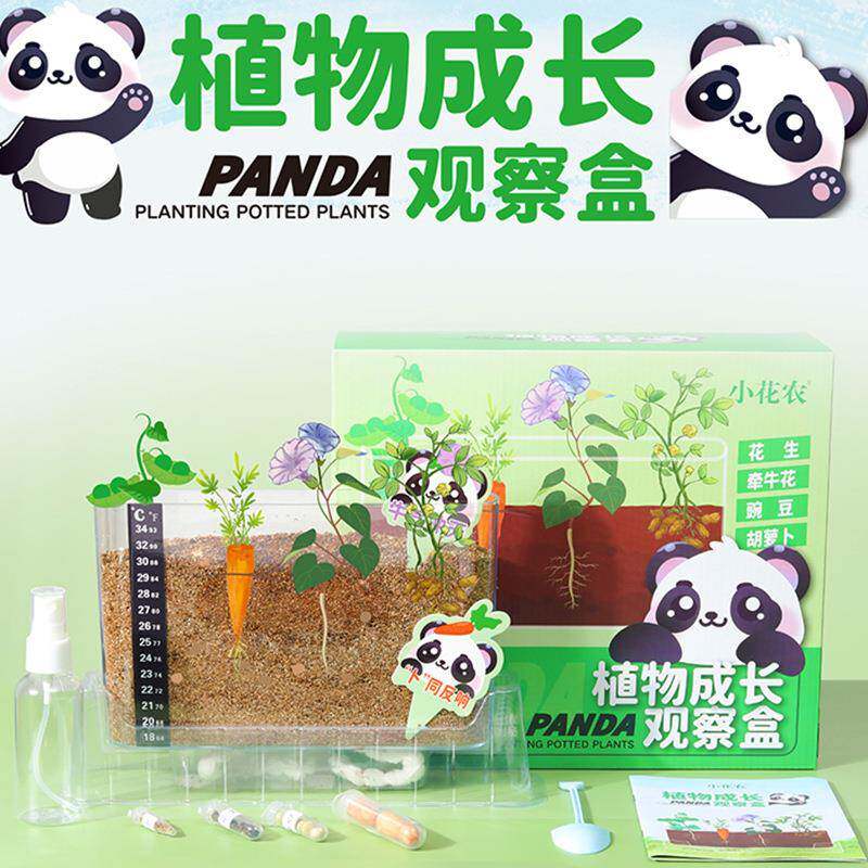 小花农熊猫植物观察盒儿童学生种植杯益智科教玩具 蔬果根系花卉