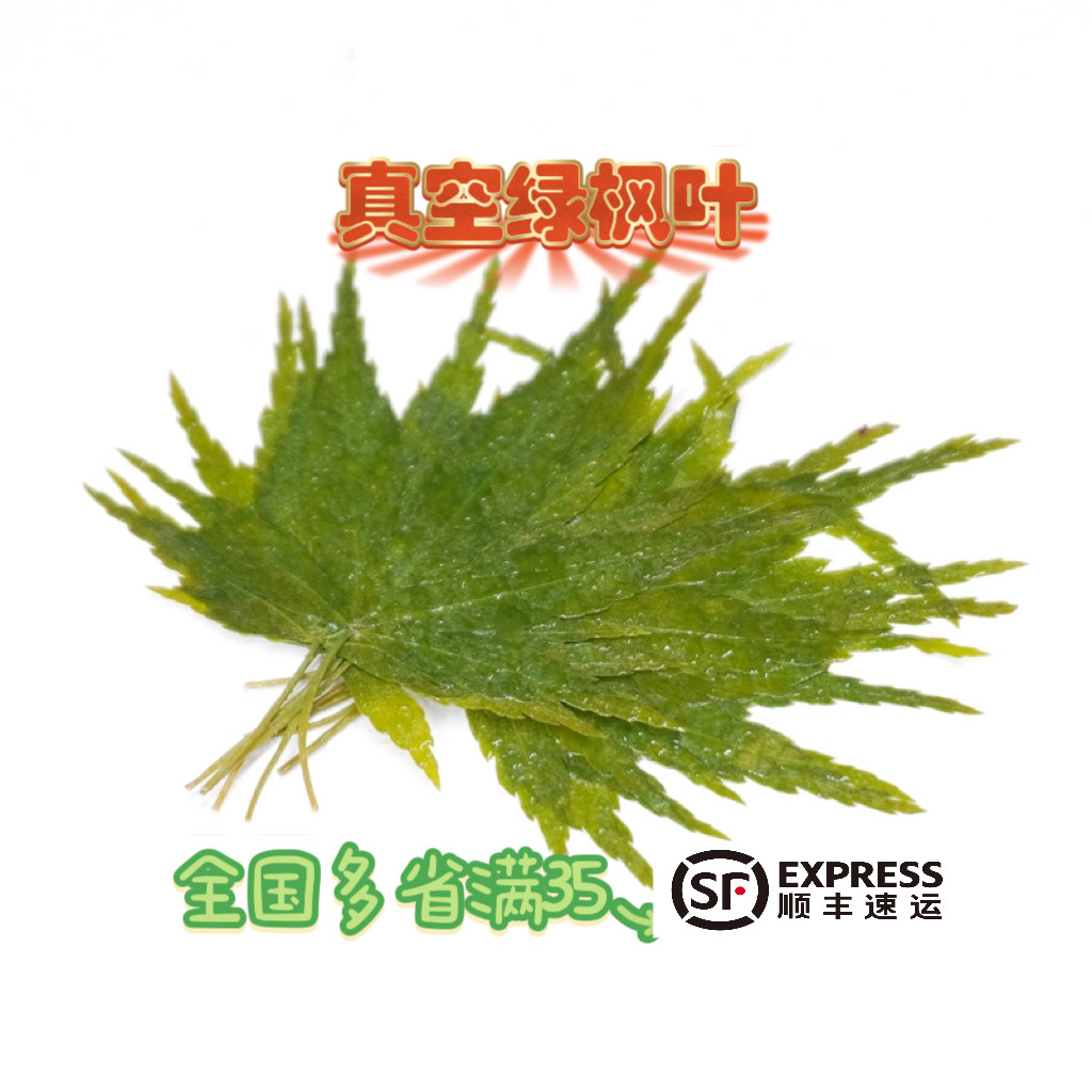 盐渍绿枫叶西餐日料摆盘装饰图片