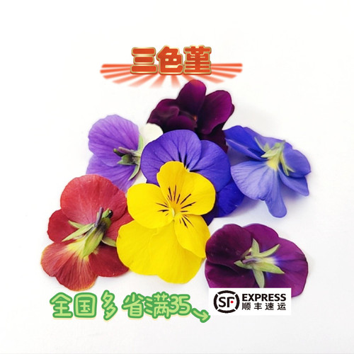 三色堇食用蛋糕奶茶冷菜西餐摆盘
