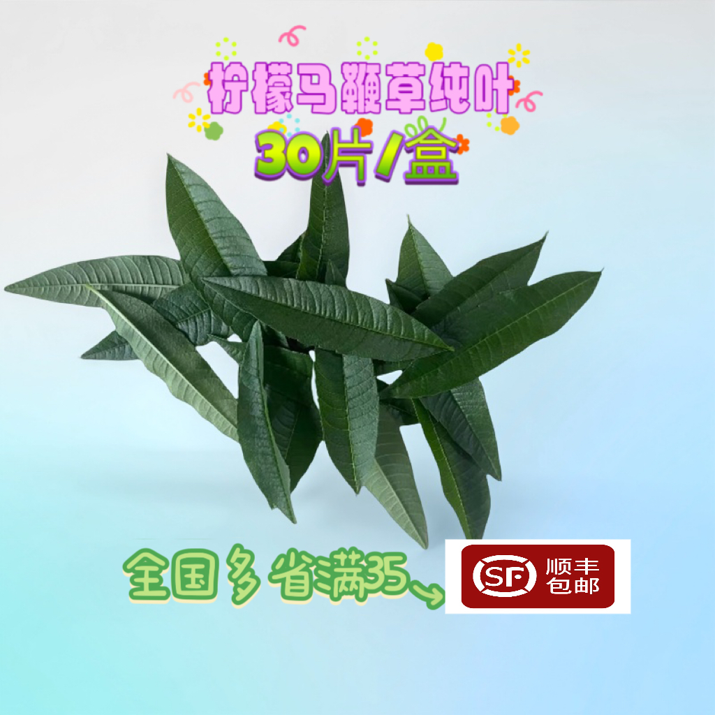 新鲜柠檬马鞭草 马鞭草叶 可食用西餐香料菜调料烹饪料理食材