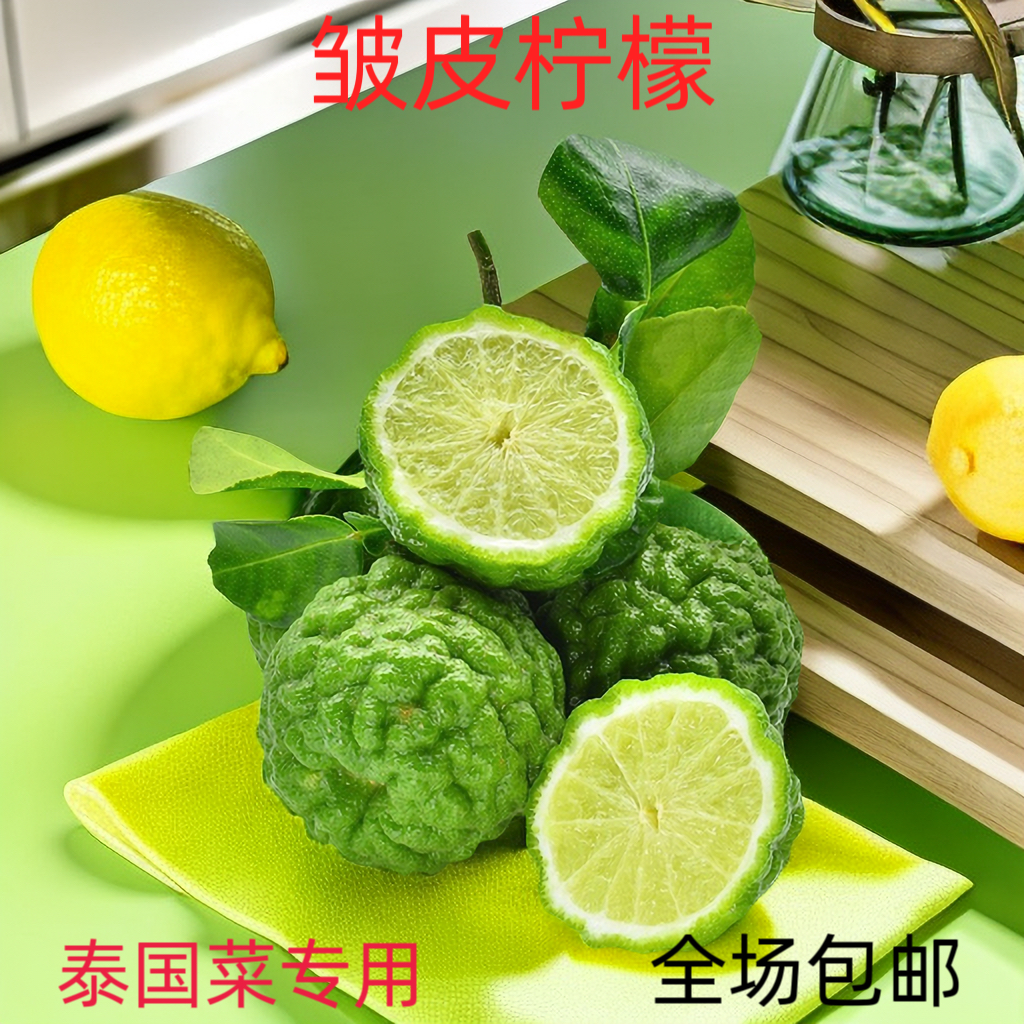 粗皮柠檬皱皮柠檬马蜂橙泰国菜