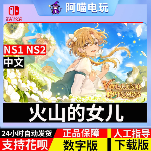 NS 任天堂 switch 火山的女儿 VOLCANO PRINCESS 数字版 下载码