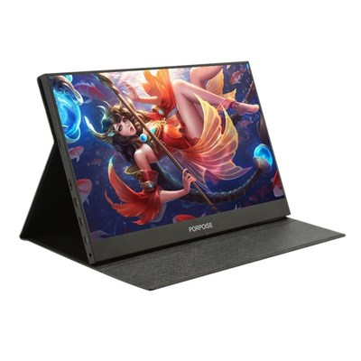 PORPOISE 11.6 Inch Portable USB C 1080P IPS LED Monitor for