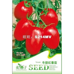 Fruits and vegetables seeds milk red tomato seed cherry toma