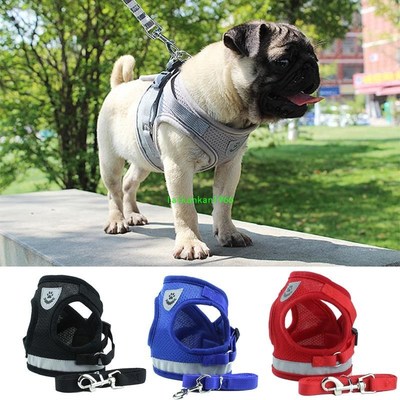 Reflective Safety Pet Dog Harness and Leash Set for Small Me