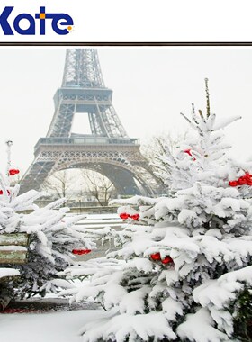 Kate Christmas Photography Backdrops Eiffel Tower Snow Fond
