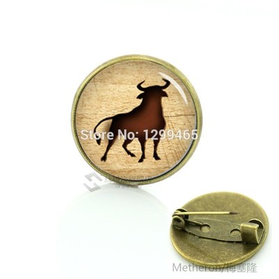 Nature wildlife animal bullfight pins vintage wood backgroun