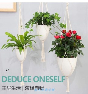 money plant flower pot plastic flower pots gardening nordic
