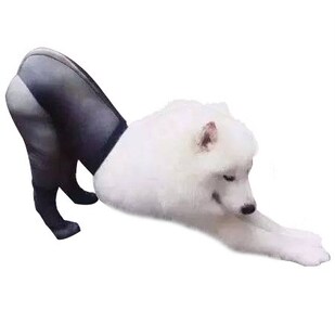 Creative new product, new pet dress, tiktok, red dog, red do