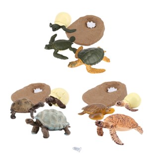 for Sea Turtle Life Cycle Model 4 Stage of Growth Kids Educa