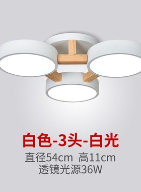 Modern Simple Nordic 220V LED ceiling light White Grey Green