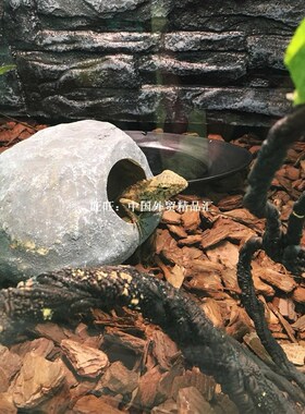 Reptile Box Lizard Snake Spider Scorpion Cave Nest A