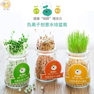 p hydroponic ceramic carbon ball anti radiation Mini potted