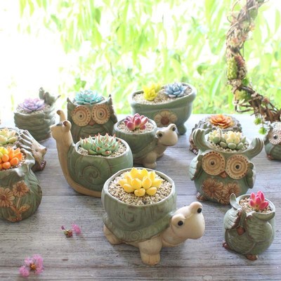 Fleshy flowerpot, retro style, simple and lovely cartoon to