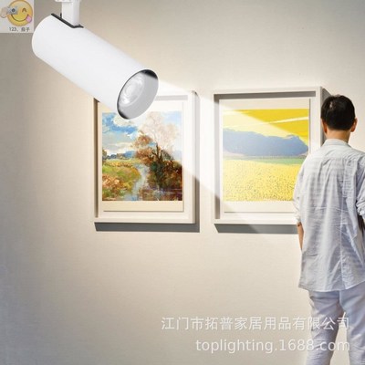 Shoot the light LED track light lamps and lanterns of the