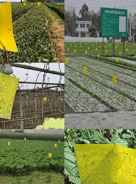 1Pc product specification 25x30cm powerful sticky board gree