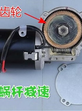 Worm gear worm DC reducer motor 24V high power high speed m